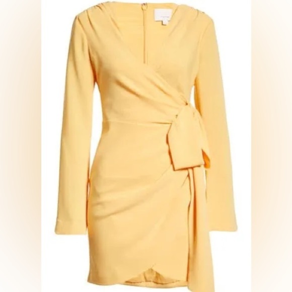 Cinq à Sept Sierra Wrap Mini Dress - Picture 4 of 12